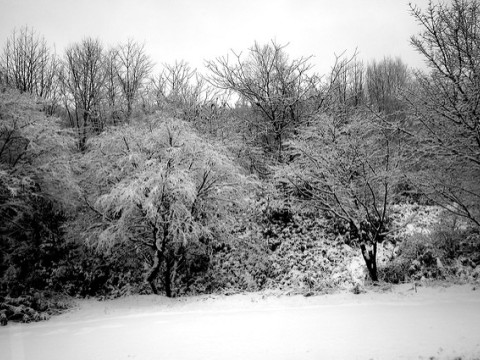 Driving to Kusatsu images