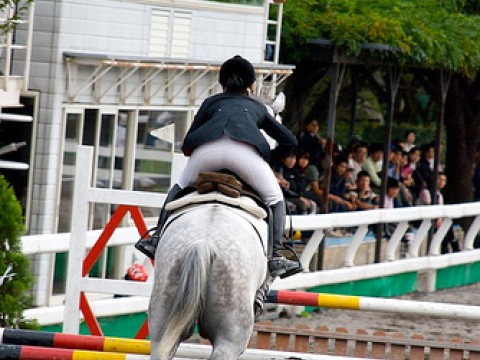 JRA Japan Horse Show on Golden Week images