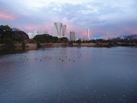 Beautiful Japanese Garden, Hama Rikyu Gardens In Japan images