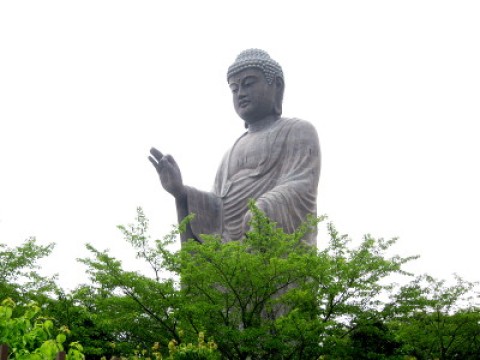 Tallest Budha in Japan, horses, beer and more images