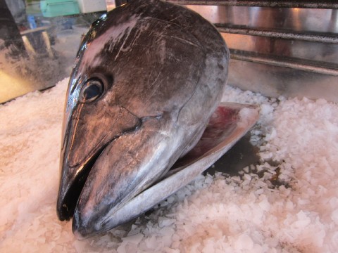 The world famous tuna auction that they're talking about images