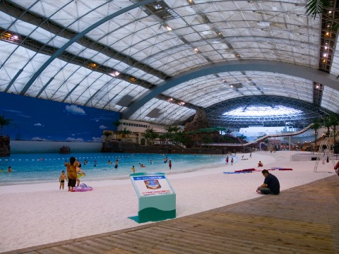 Let's Go Swimming in Yokohama! images