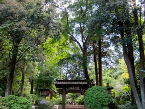 Easy hike through Kamakura images