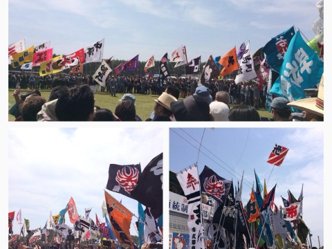 Hamamatsu Kite Festival images