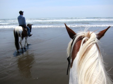 Horseback riding on the beach images