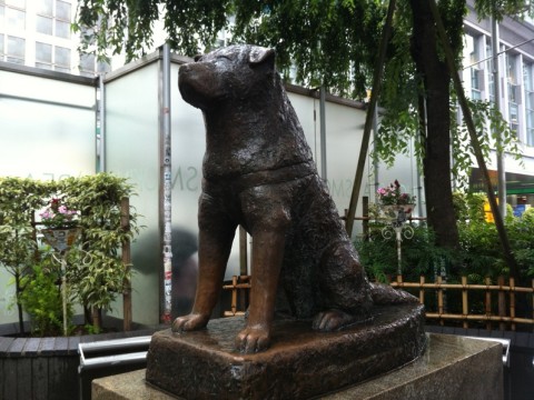 Hachiko - the famous meeting place in Shibuya images