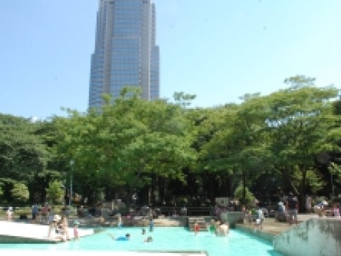 Summer in Shinjuku Chuo Park images