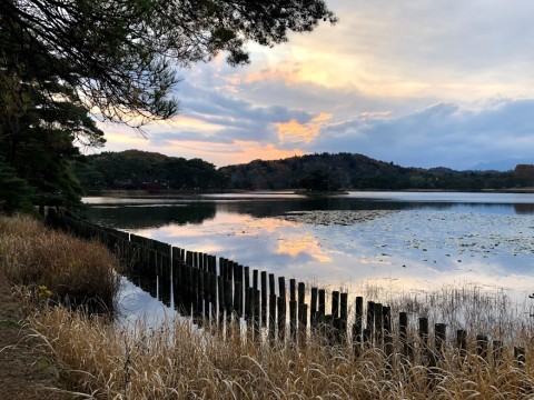 Slip Inside the Cracks: Samurai Spirit Tourism in Fukushima Prefecture images