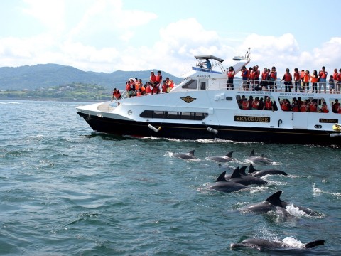 Destination: Amakusa, Sea Cruise! images