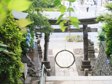 "Chinowa" - a Very special ring at shrine! images