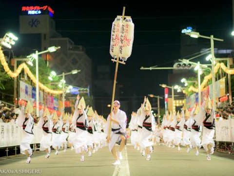 Awa Odori （阿波おどり） – Summer Festival in Tokushima Prefecture images