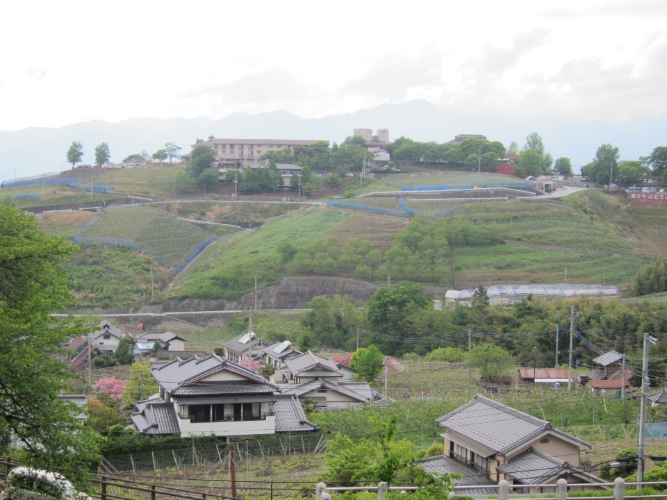 The hill which owns wine cave under it