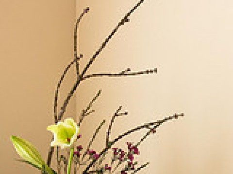 Check out the Ohara School of Ikebana images