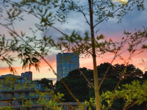 The Grand Hyatt Hotel at Roppongi Hills is always a lovely place to visit images