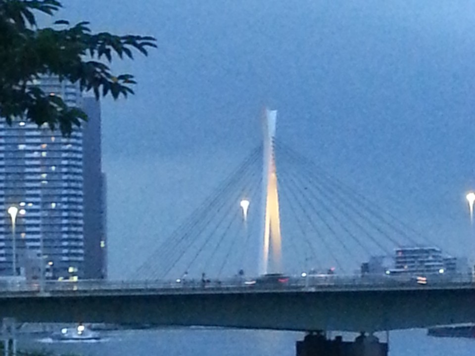 Chuo Ohashi Bridge Overlaying Tsukuda Ohashi Bridge