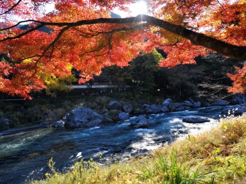 Mitake Valley in Ome City, Okutama images