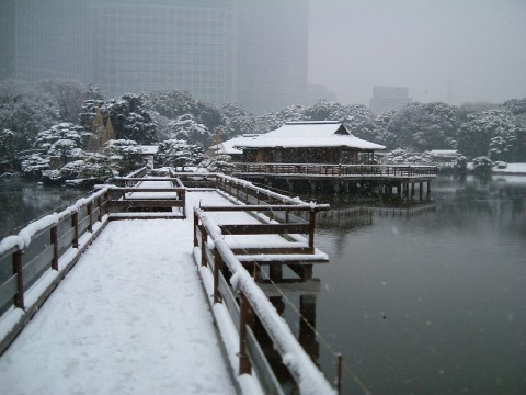 Majestic Japanese Garden and Tea House in the Middle of Tokyo images