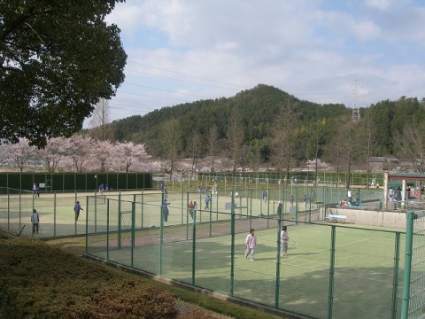 Suburban Tennis time images