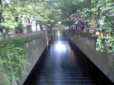 Nakameguro, shops along the river images