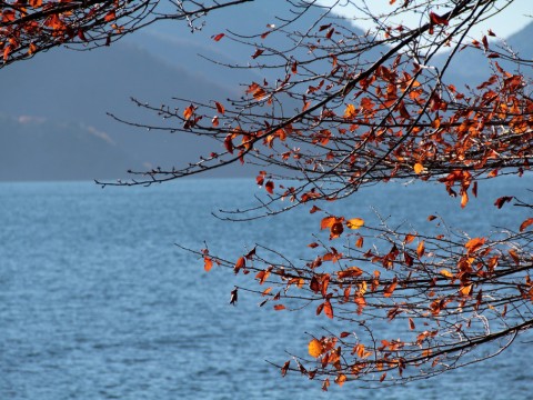 Enjoy the winding road of Nikko, Irohazaka. One of Japan's lovely roads in a perfect getaway outside of Tokyo. images