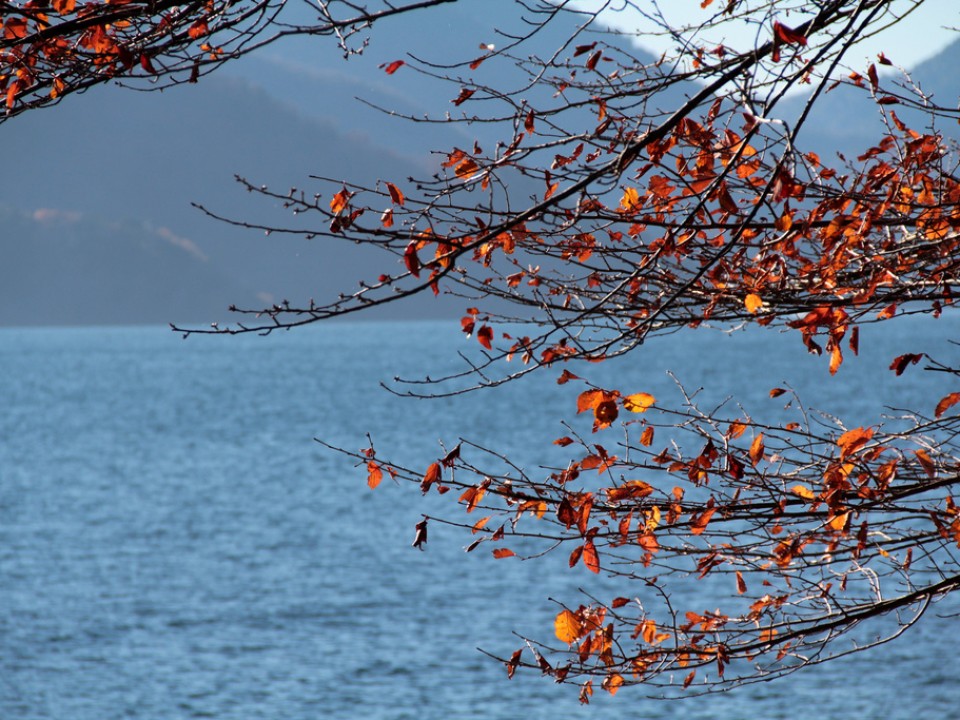 Lake at the end of Iroha-zaka Hill