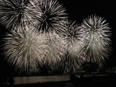 Beach Fireworks in Tokyo, Japan images