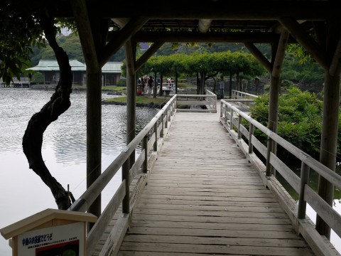 Hamarikyu Garden, Beautiful and Ancient Garden in Japan images