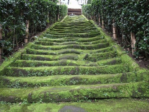 Go to Kamakura in Japan images