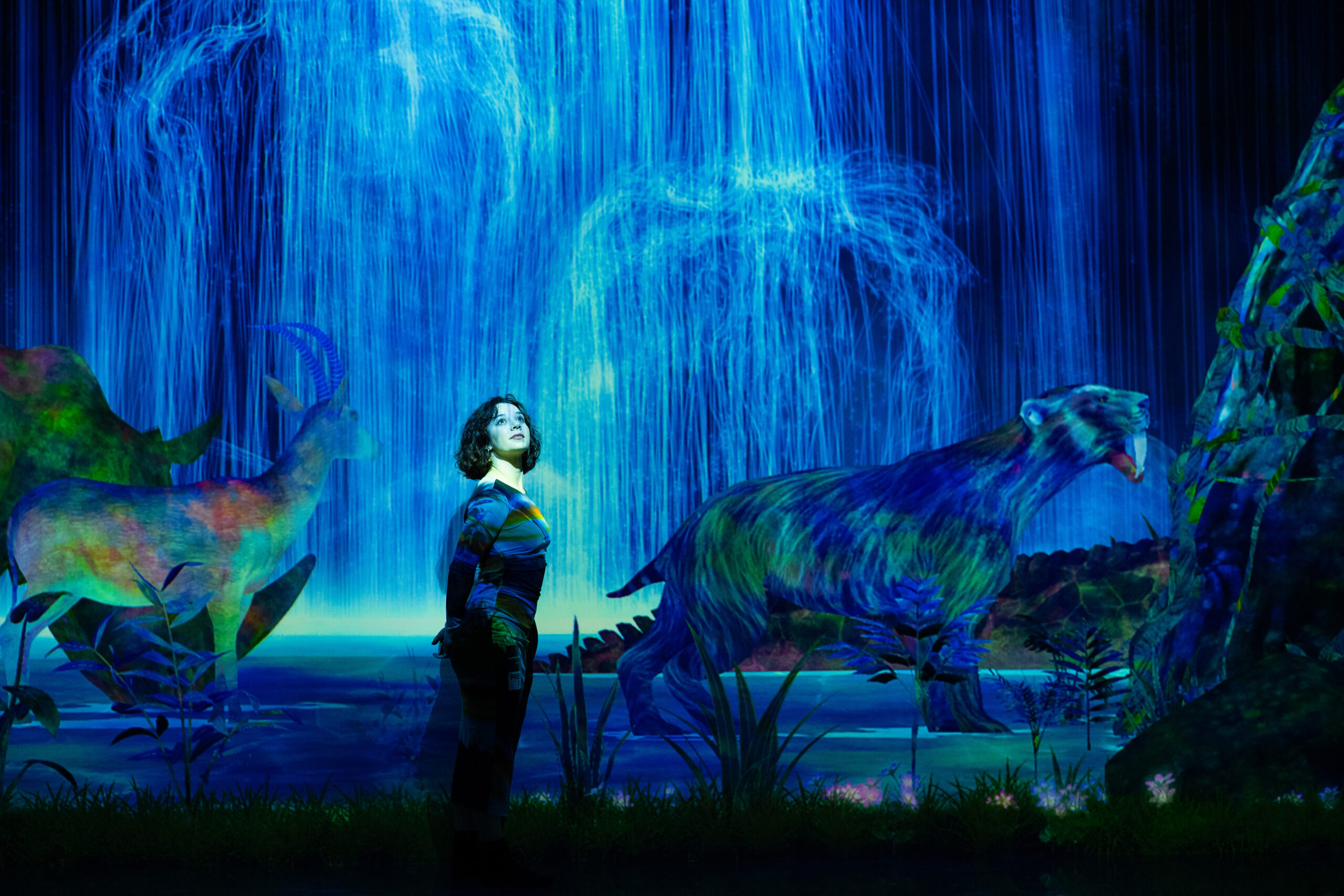 Entering A World Of Pure Imagination At TeamLab Planets Tokyo