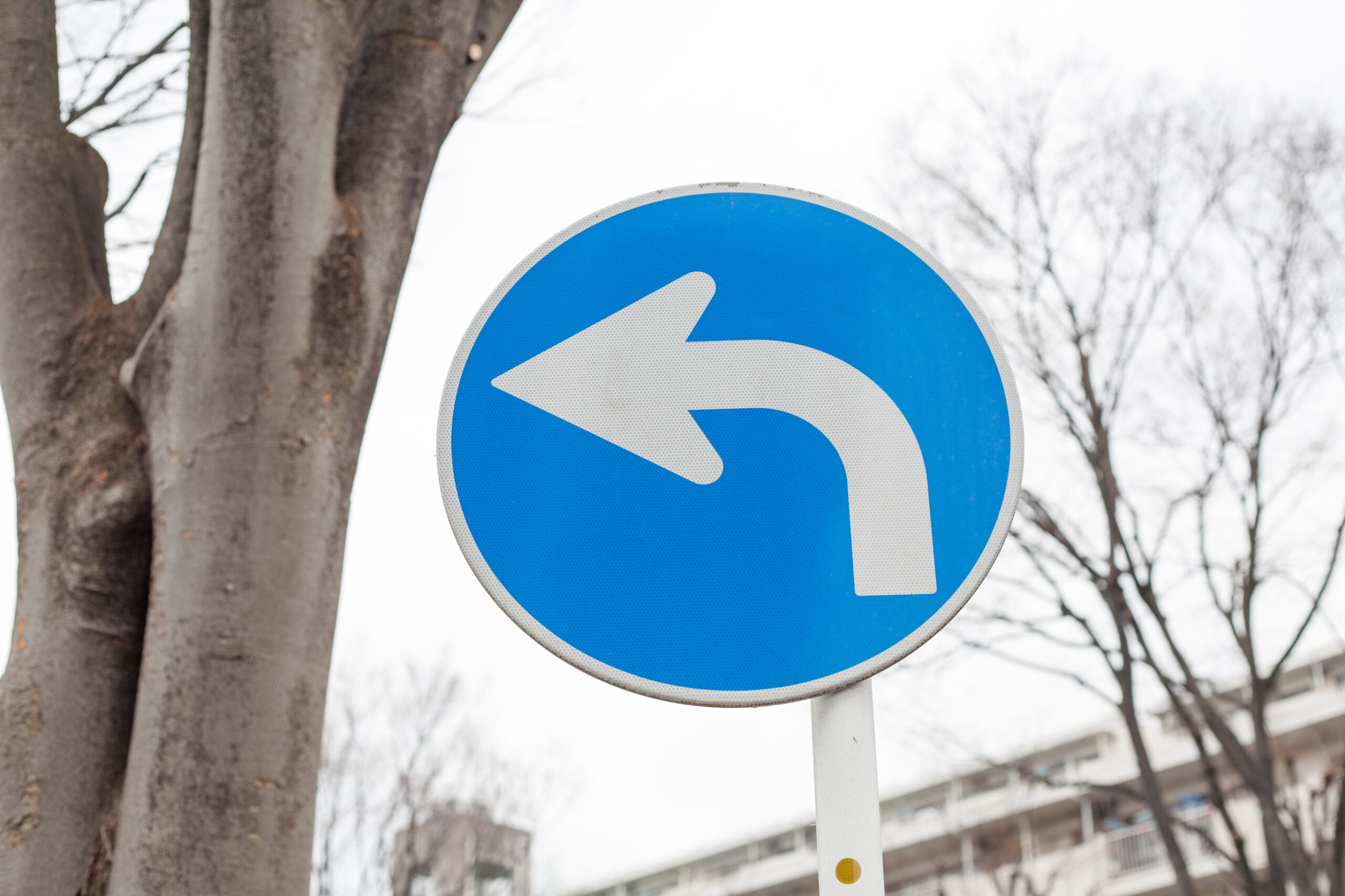 Blue Japanese road sign with a white arrow pointing left