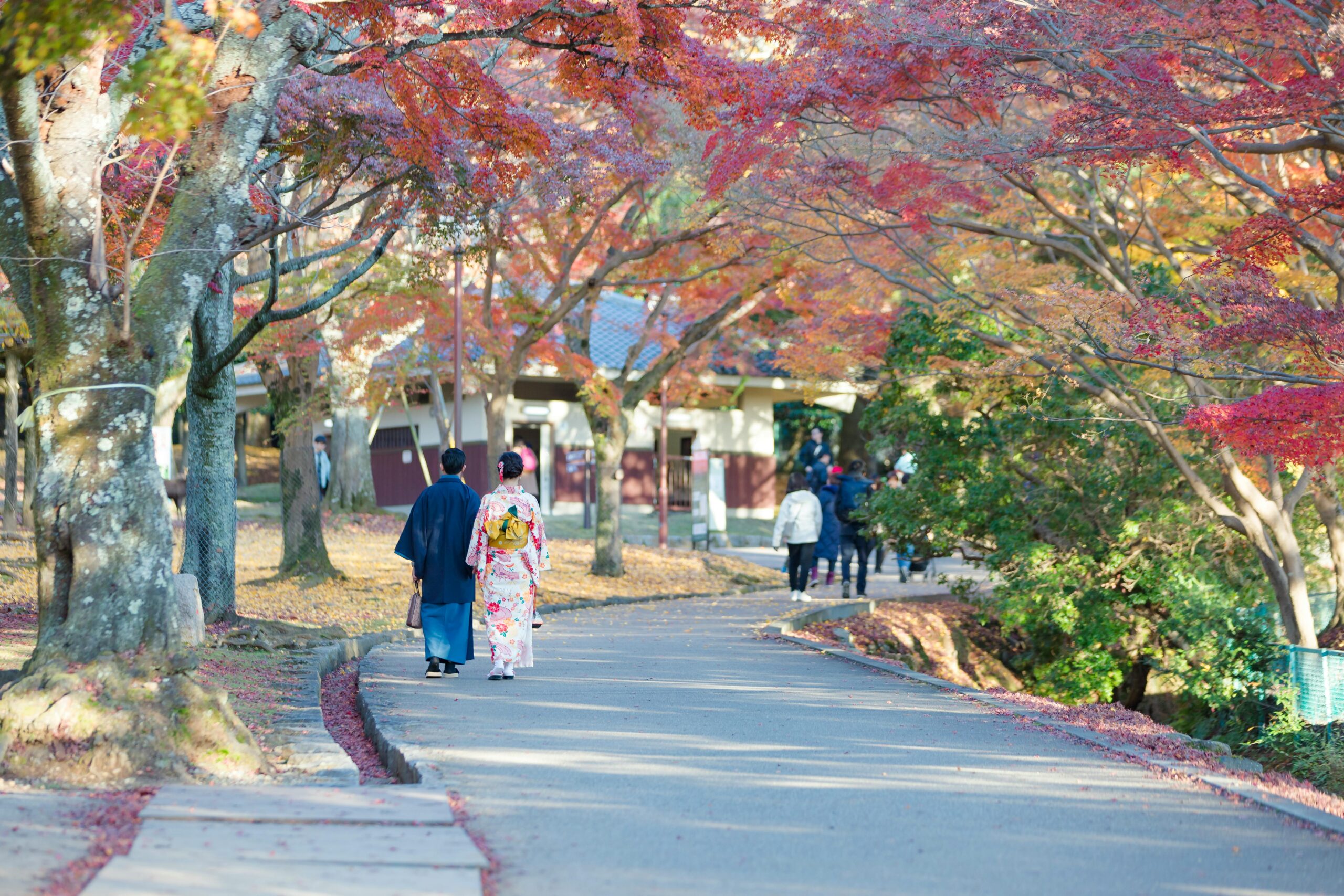 Couple in kimono walking on a leafy autumn path, keeping to the left
