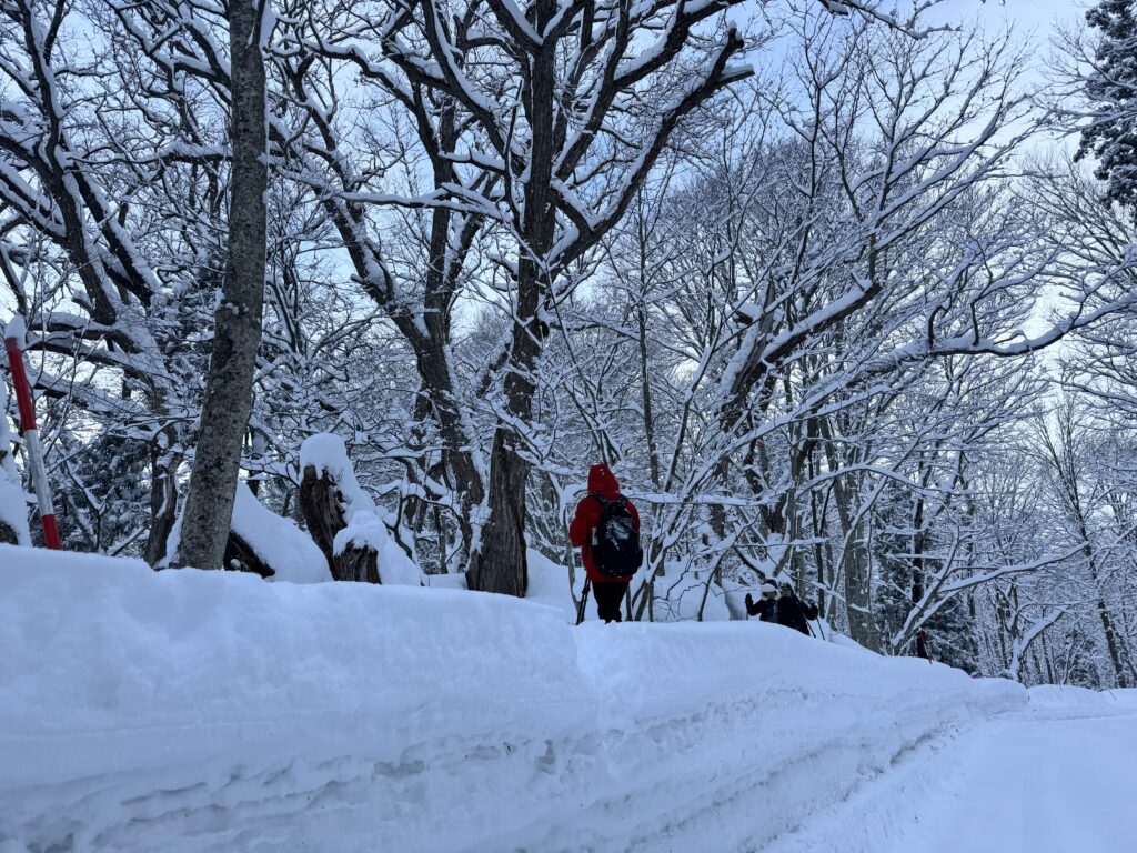 A winter pilgrimage to Oirase Keiryu Hotel in Aomori, where time gracefully drifts and deepens 9 IMG 5863