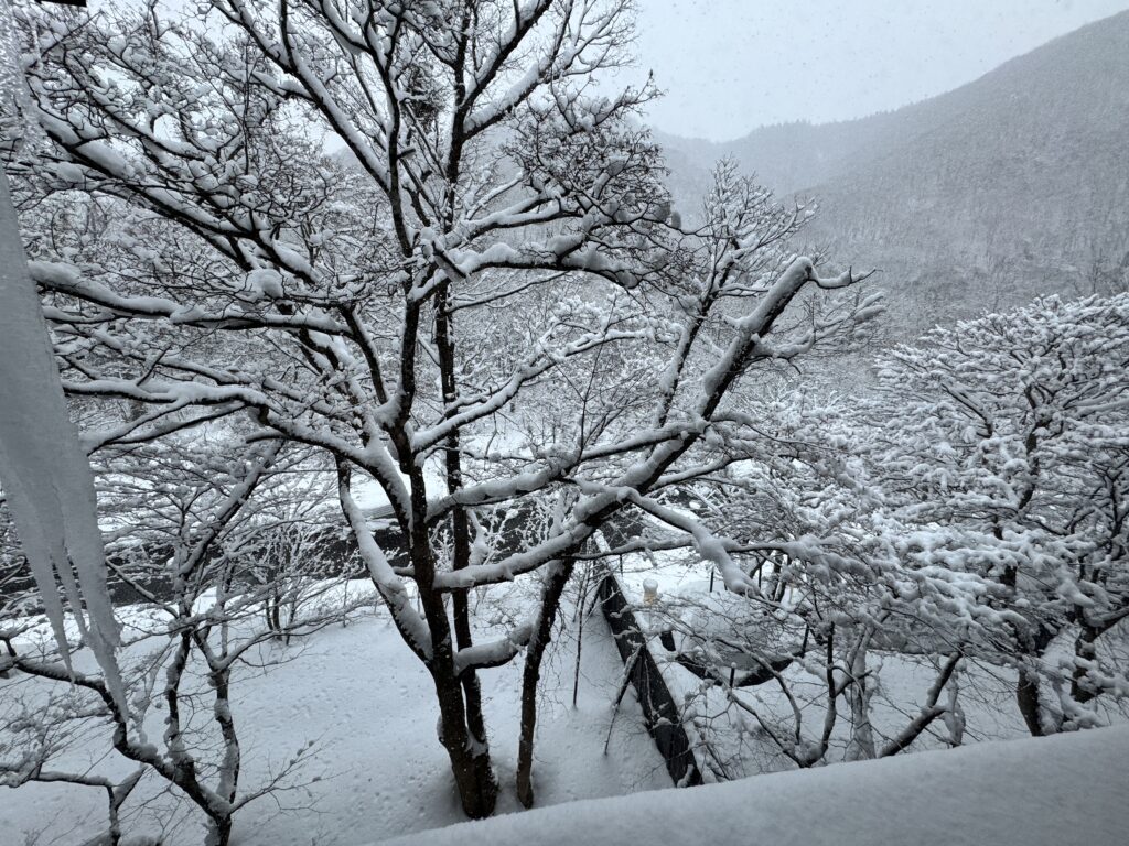 A winter pilgrimage to Oirase Keiryu Hotel in Aomori, where time gracefully drifts and deepens 2 IMG 5905