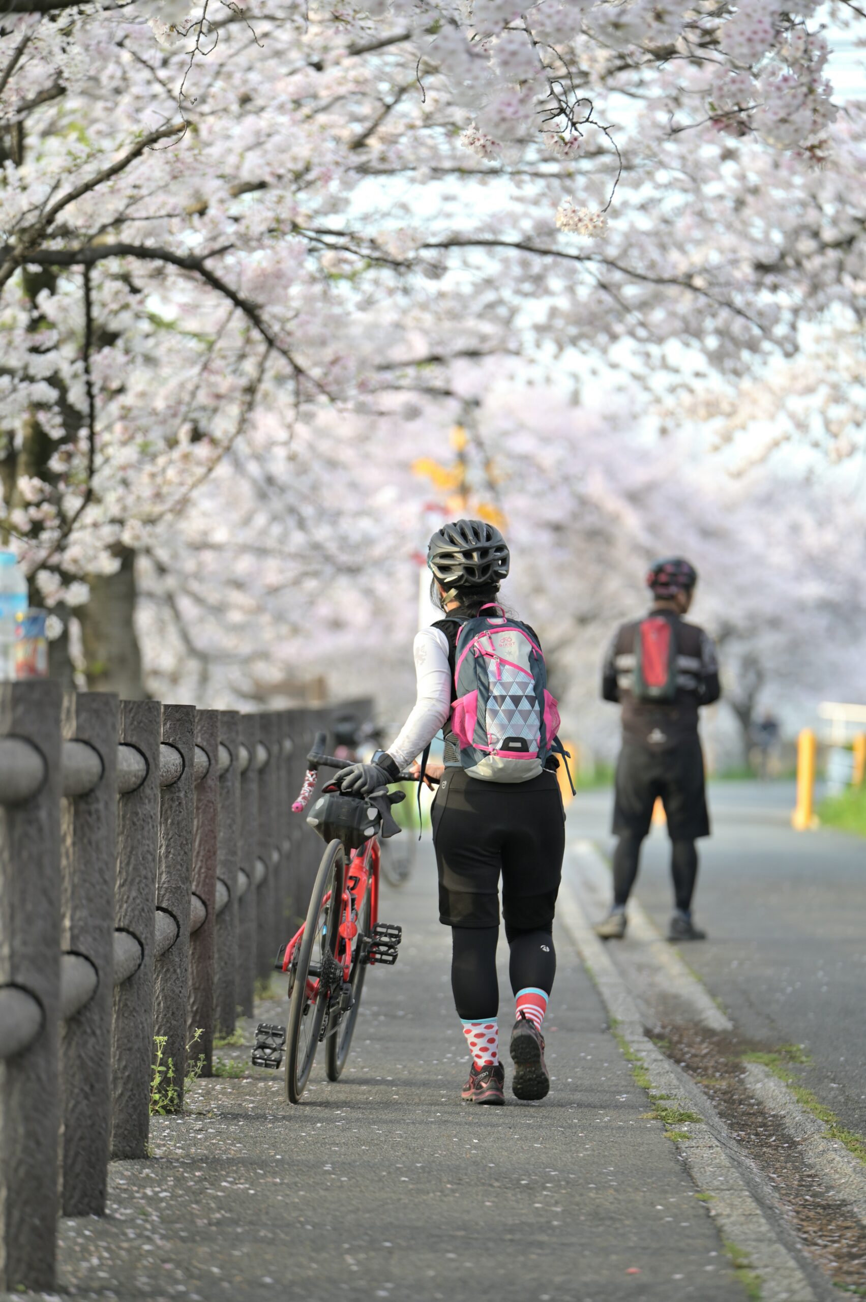 Woman in a cycling outfit walking and pushing her bicycle under a canopy of cherry blossoms.