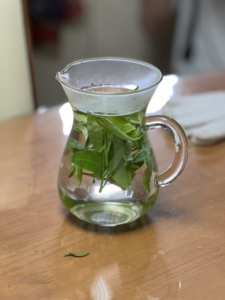 In Shimane's mountain village, green tea is crafted the traditional way—by hand, with heart 5 Tea Using Fresh Raw Leaves