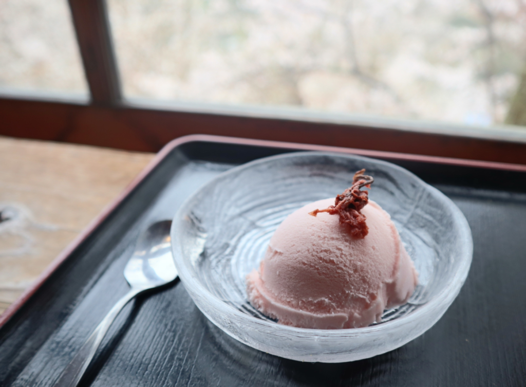 Sakura preserved in dyes and flavors: How locals give fallen blossoms new life in Unnan City 4 Untitled design 1