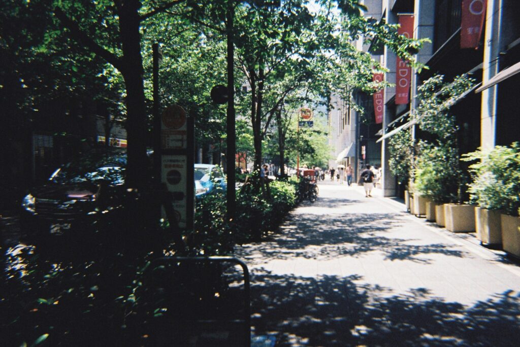 Beating the Japanese summer heat with shiso juice and other time-tested tips 2 A sunlit summer sidewalk in Japan, with lush green trees lining the left side and bright sunlight illuminating the path on the right.