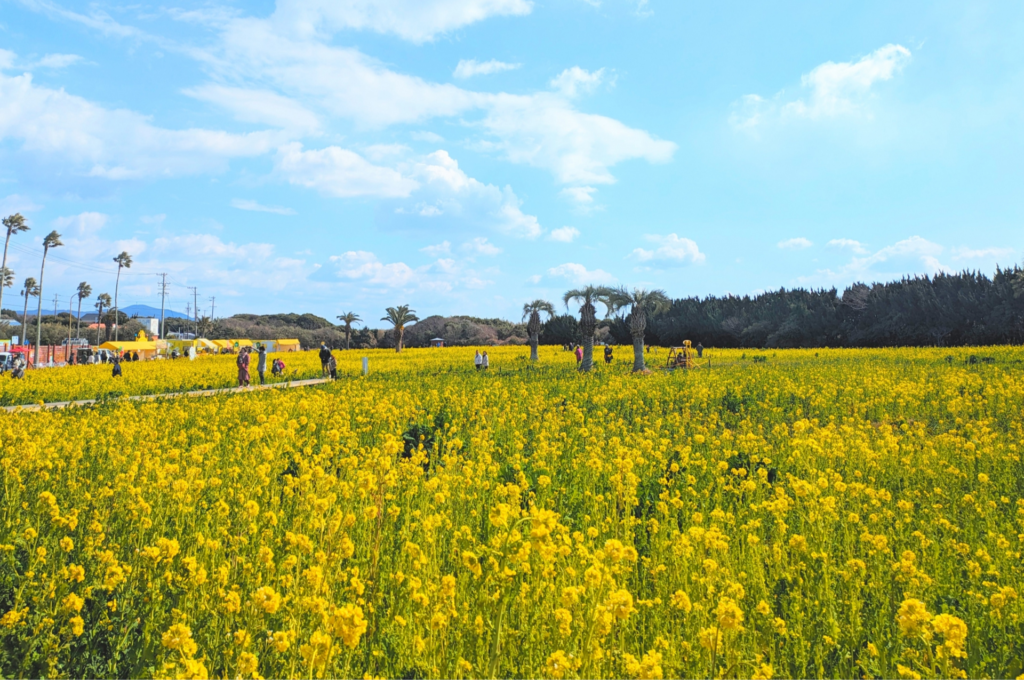 Untitled 2592 x 3872 px