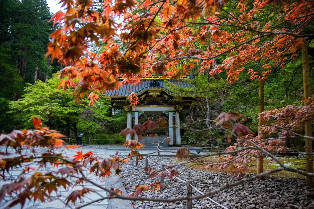 Nikko: The perfect autumn destination only 2 hours from Tokyo 5 alessandro stech OU21gbjhpBo unsplash