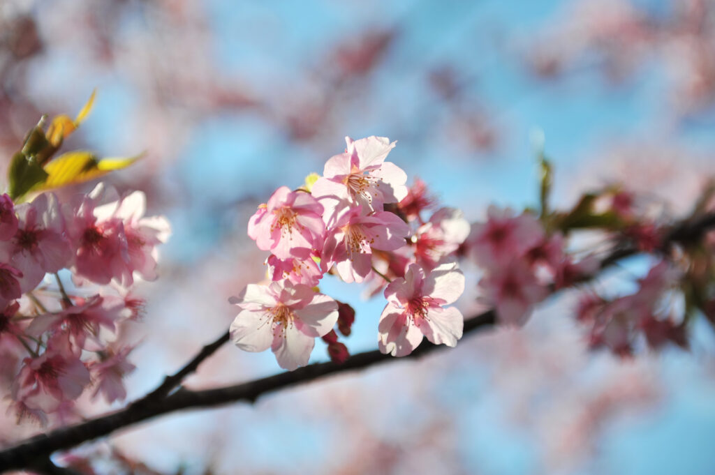 dreamstime m 74401743