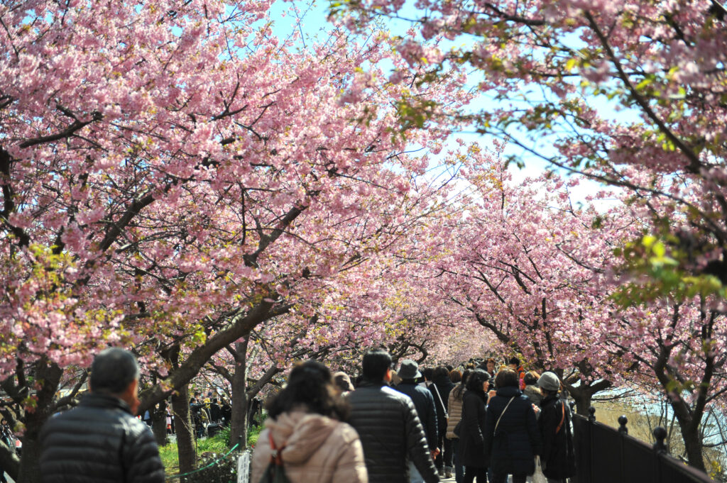 dreamstime xxl 74401608