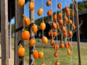 Preserving autumn: Shimane Prefecture’s enduring hoshigaki (dried persimmon) tradition 1 kakinoren