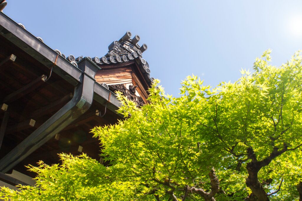 tara vester A NysFXzckI unsplash