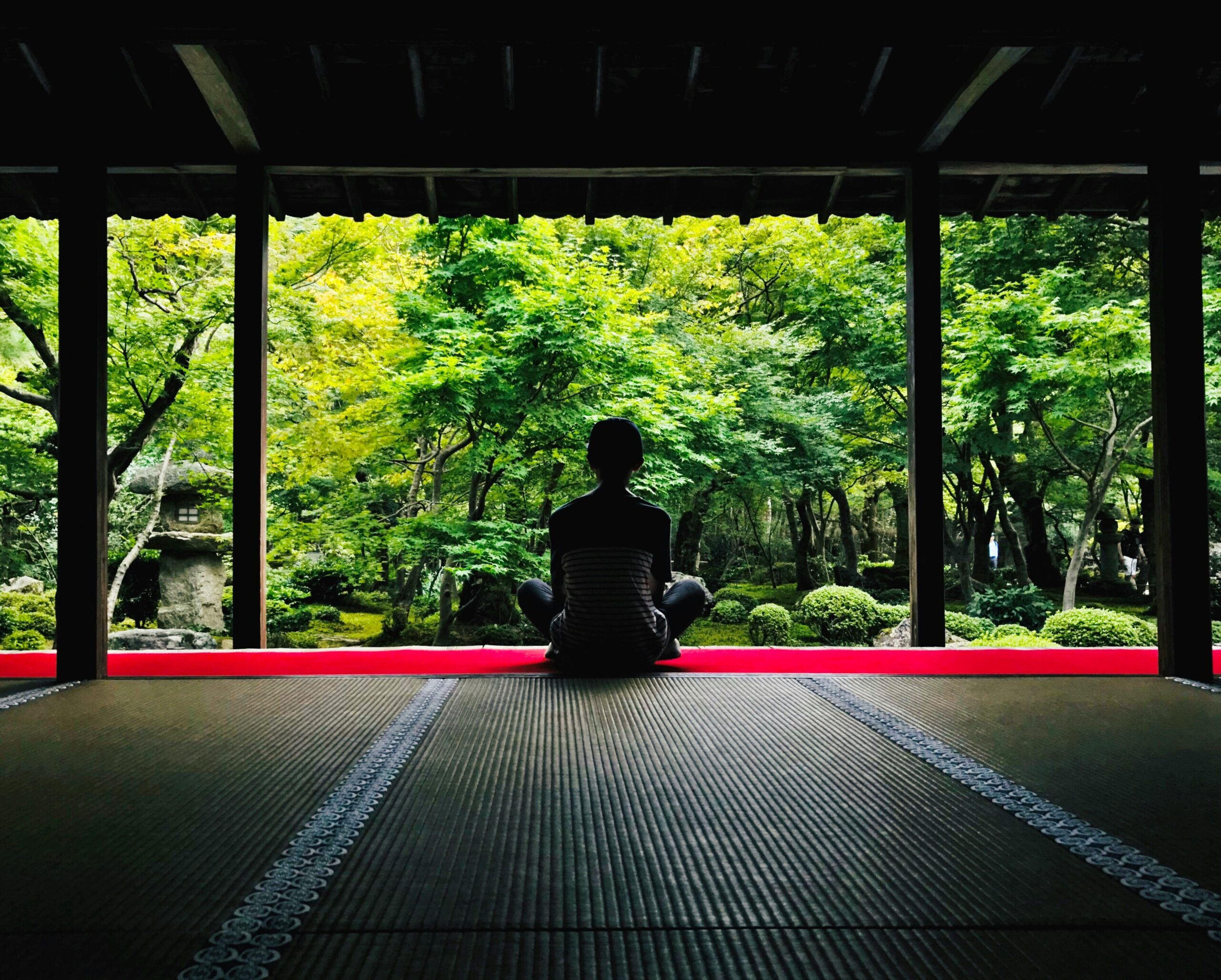 hideki nishiyama nXwdKbxzcUU unsplash scaled
